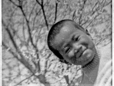 木の下の純二？